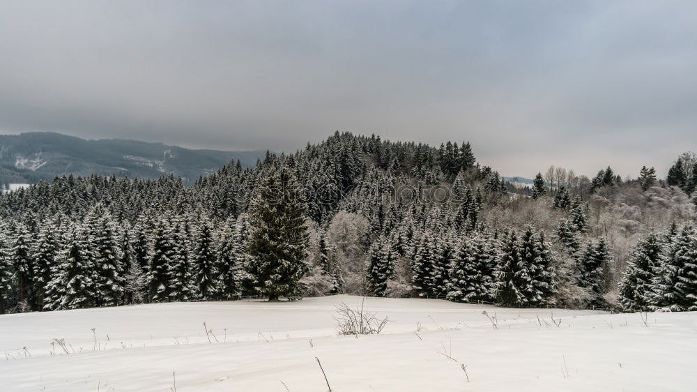 Similar – Image, Stock Photo Almöhi today has four-wheel drive