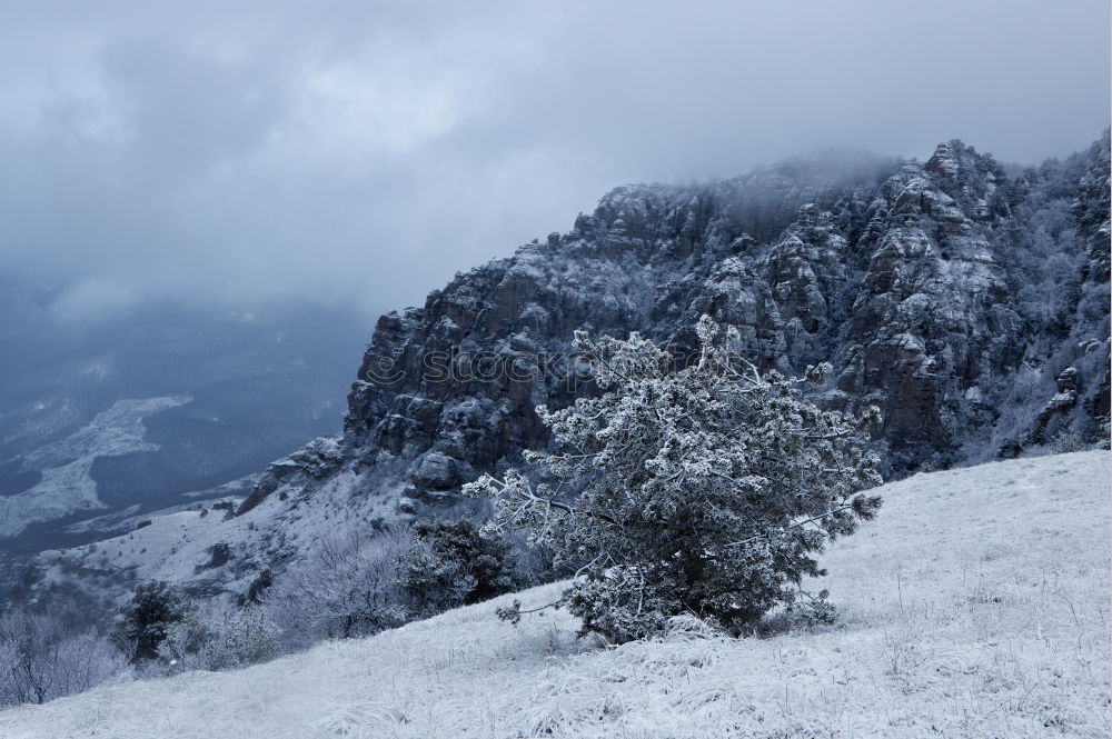 Similar – Image, Stock Photo Trekking Day Morning