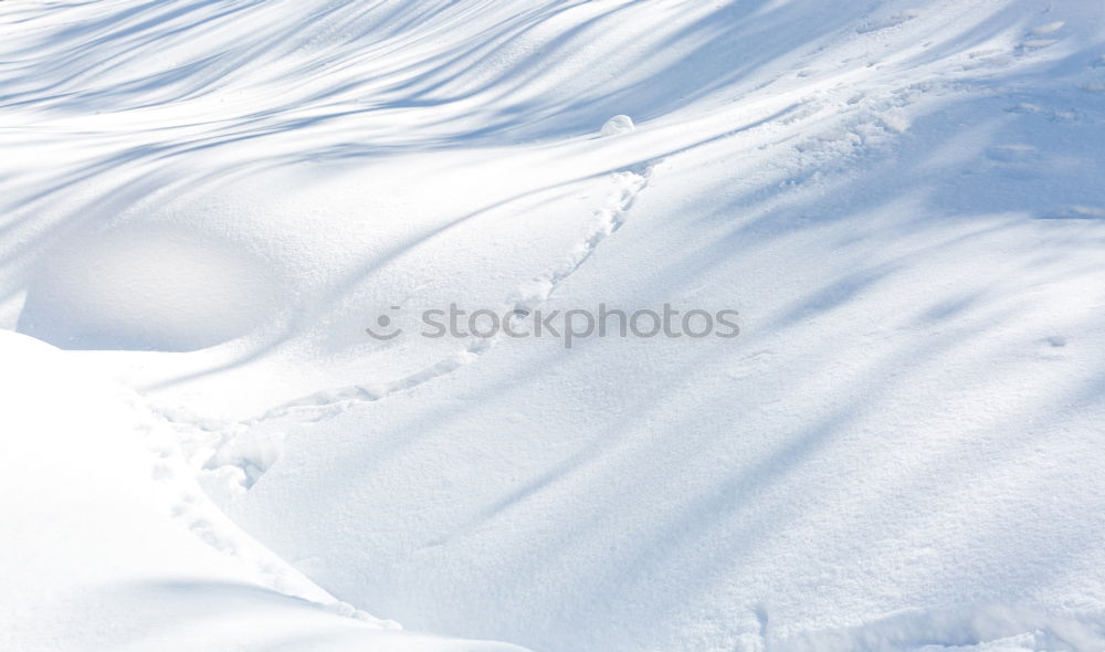 Similar – Image, Stock Photo winter art Nature Water