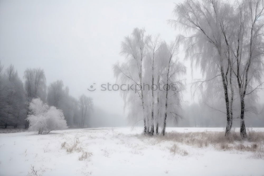 Similar – Image, Stock Photo ingots Express train Soft