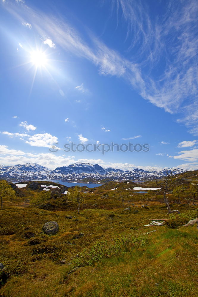 Similar – cottage cheese Hut Hiking