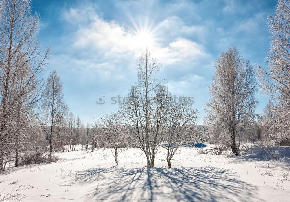 Similar – für Winterliebhaber