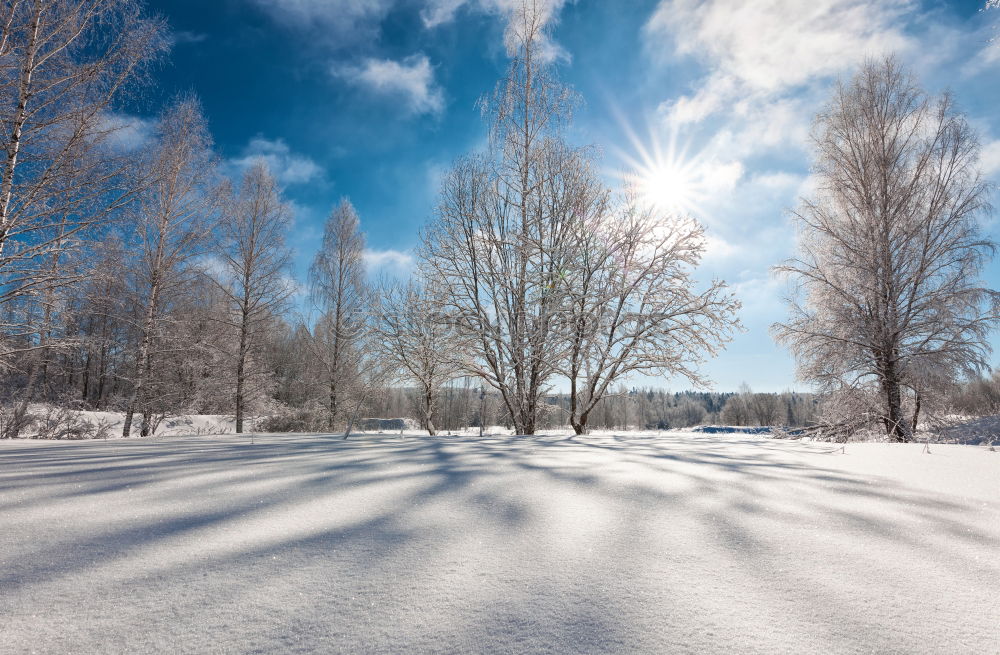 Similar – für Winterliebhaber