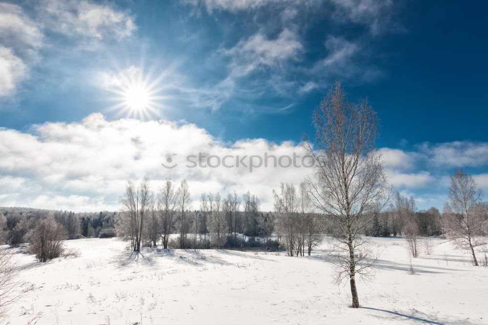 Image, Stock Photo winter hike in the northern Black Forest on a sunny day