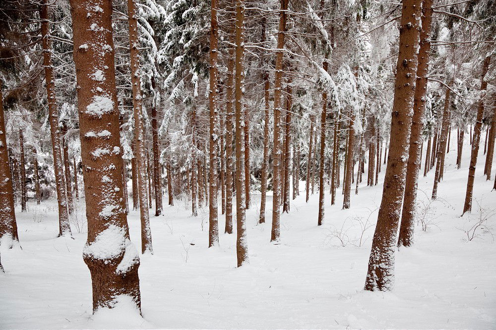 Similar – footprints Life Well-being