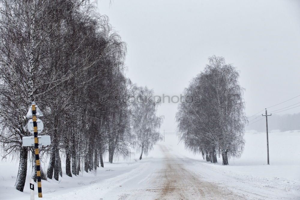 Similar – Hoarfrost in the right-hand bend