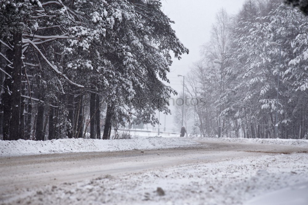 Similar – Image, Stock Photo Road in forest in snow