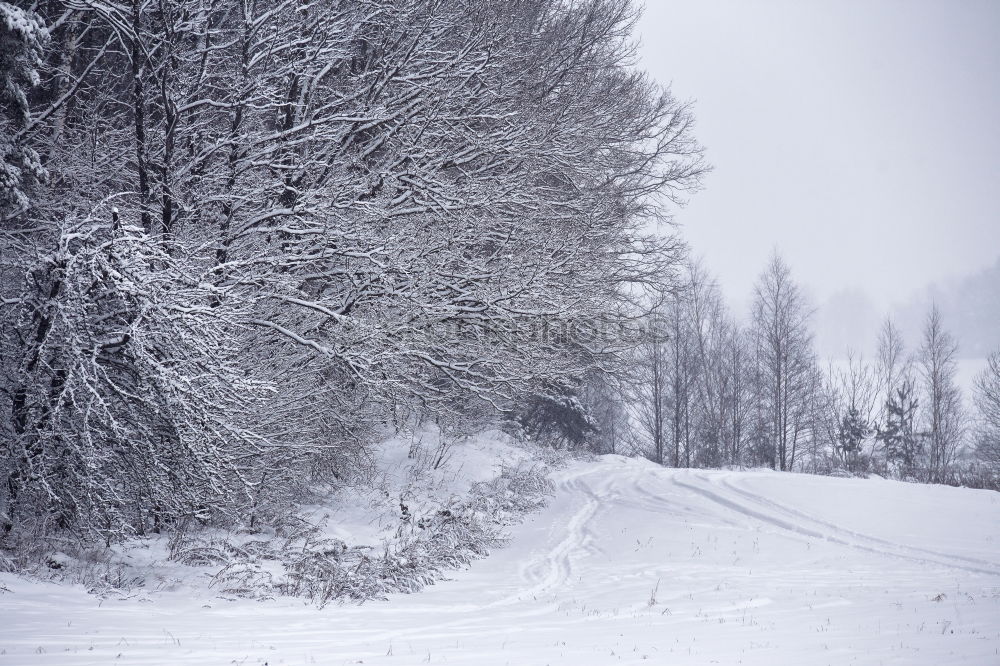 Similar – cross-country skiing trail