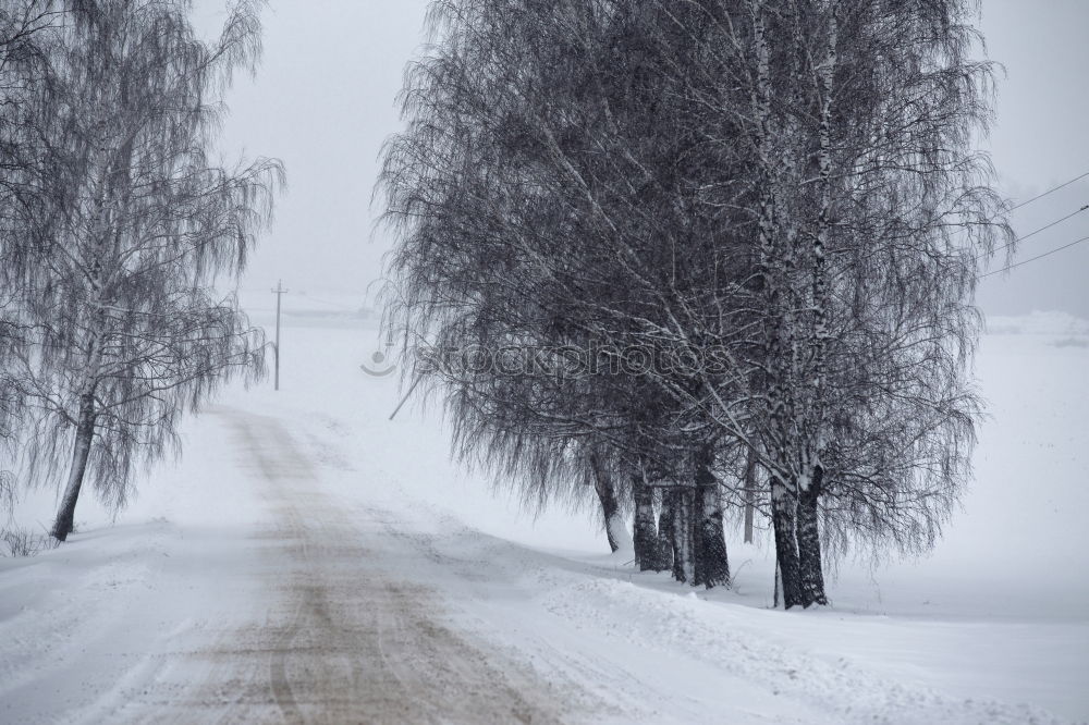 Similar – kurz vor innsbruck Winter