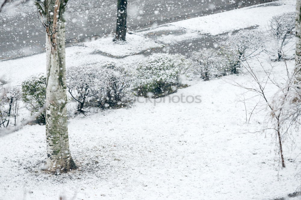 Similar – Tauwetter Dach Fenster