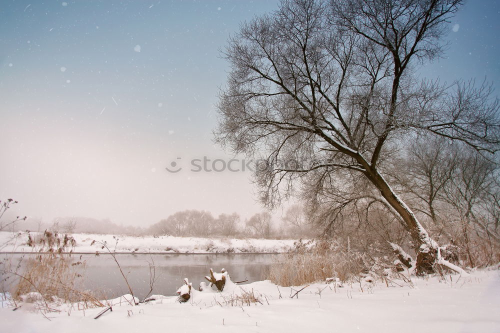 Similar – Image, Stock Photo Sunny winter morning on a river