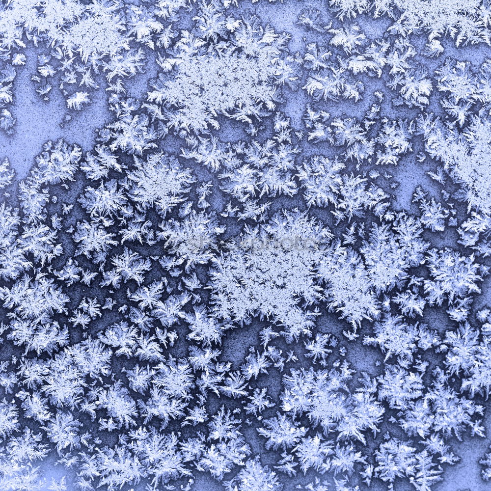 Similar – Image, Stock Photo Blue Sky Well-being