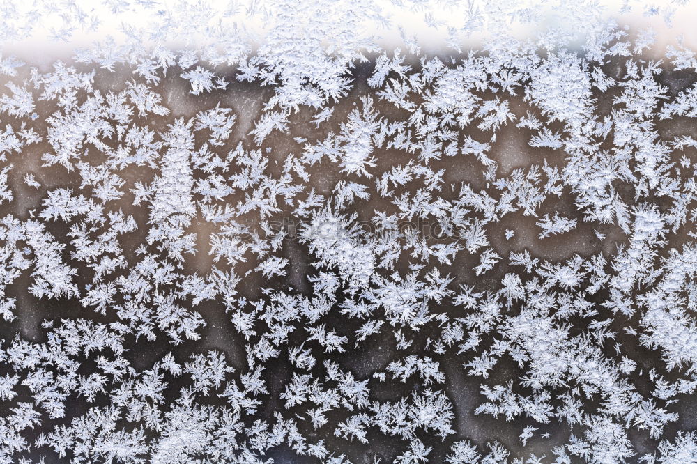 Similar – Foto Bild Schnee, der vor den Schuppen meiner Eltern fällt