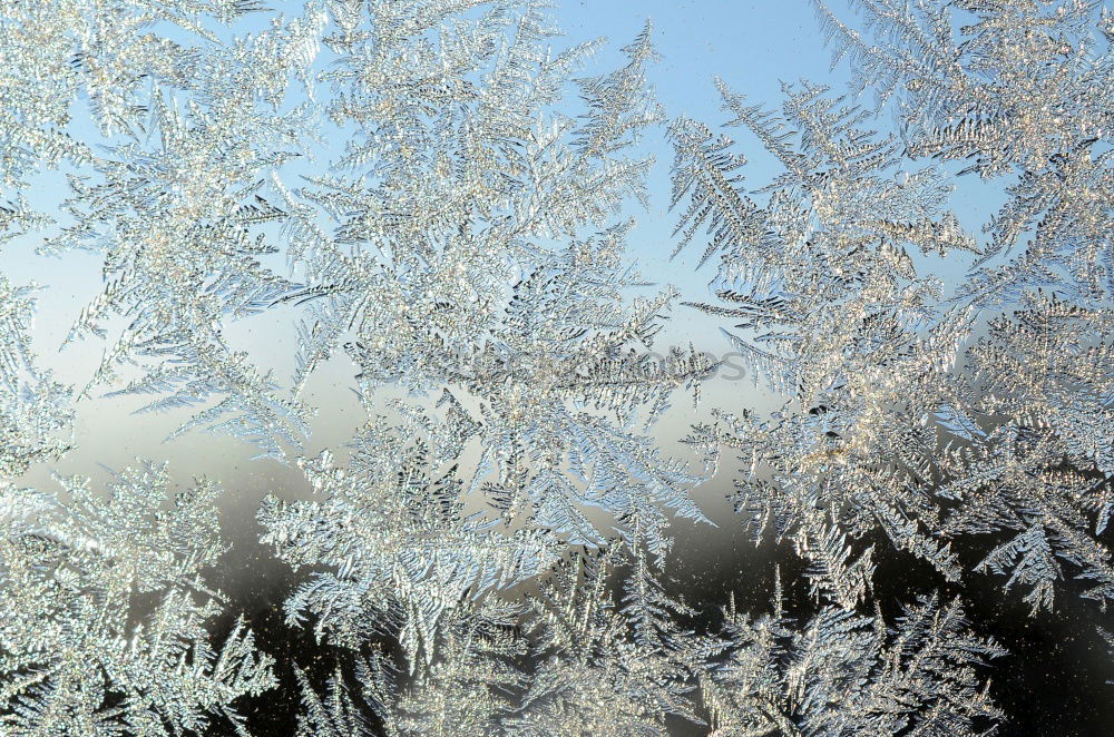 Similar – Image, Stock Photo ice crystals