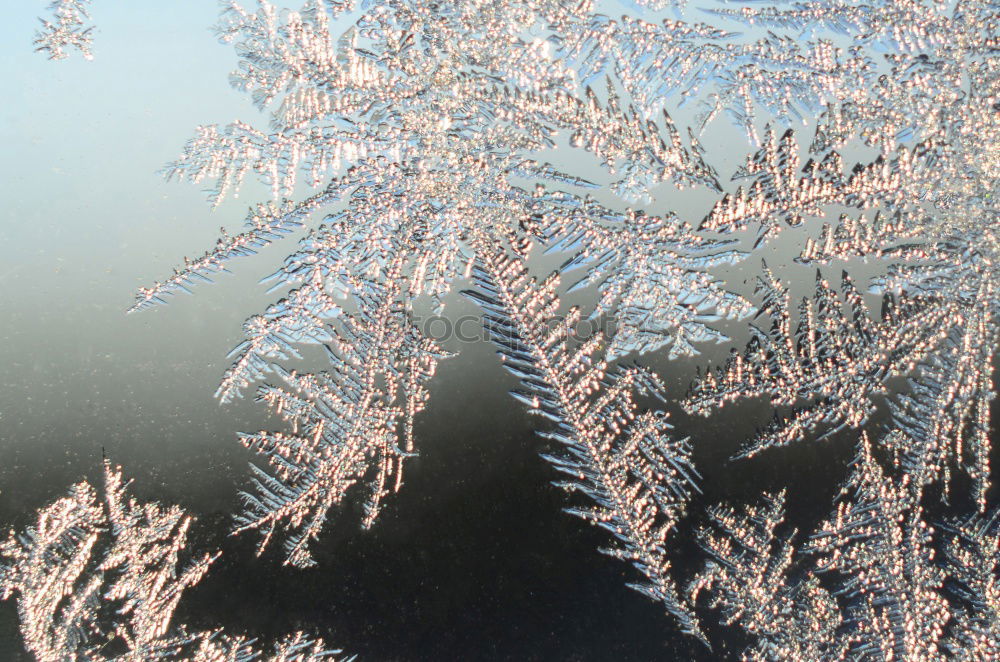 Similar – Image, Stock Photo ice crystals