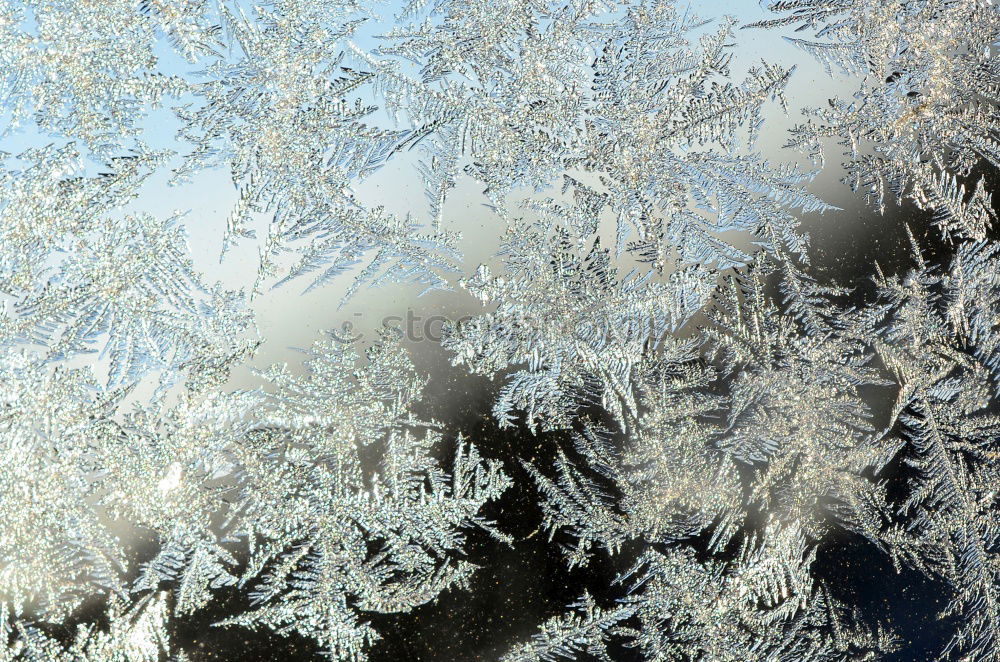 Similar – Image, Stock Photo ice crystals