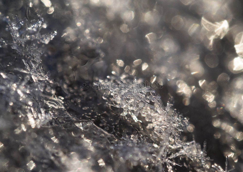 Frozen, yellow light behind ice plate