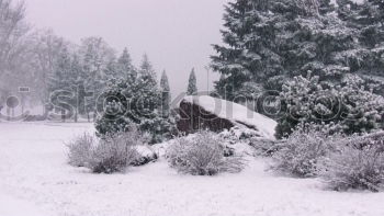 Similar – Image, Stock Photo winter Weather Snow