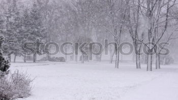 Similar – Image, Stock Photo winter Weather Snow