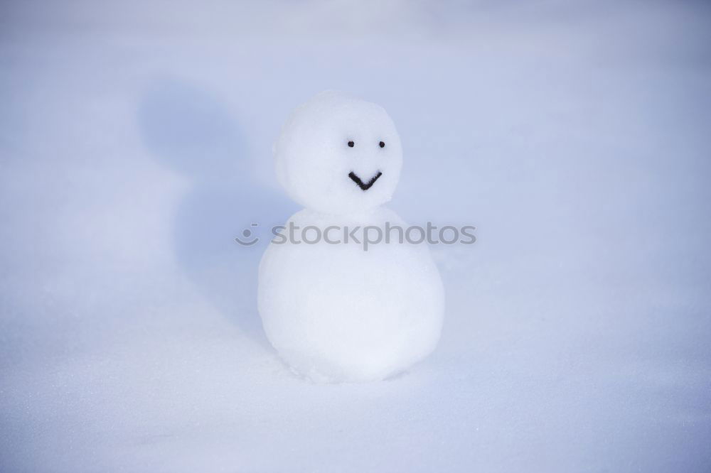 Similar – Image, Stock Photo Teddy Per in Iceland (2)