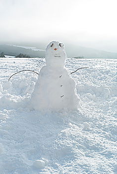 Similar – Image, Stock Photo Snowman in the yard Joy