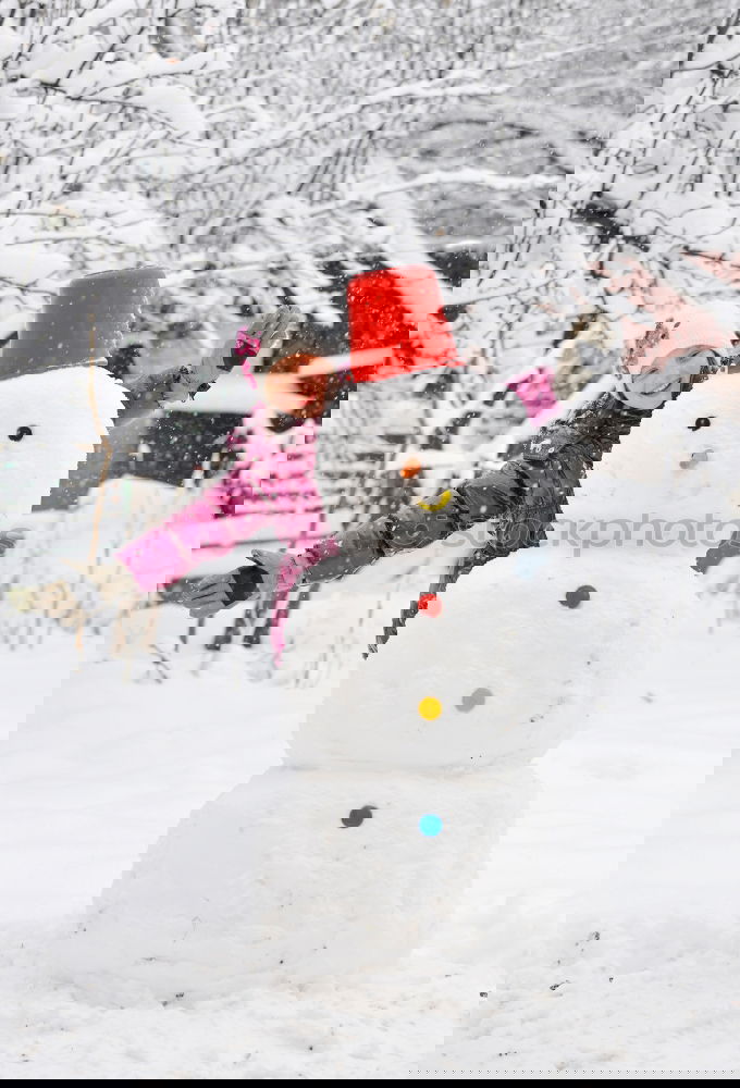 Similar – Image, Stock Photo Snowman and child in the yard