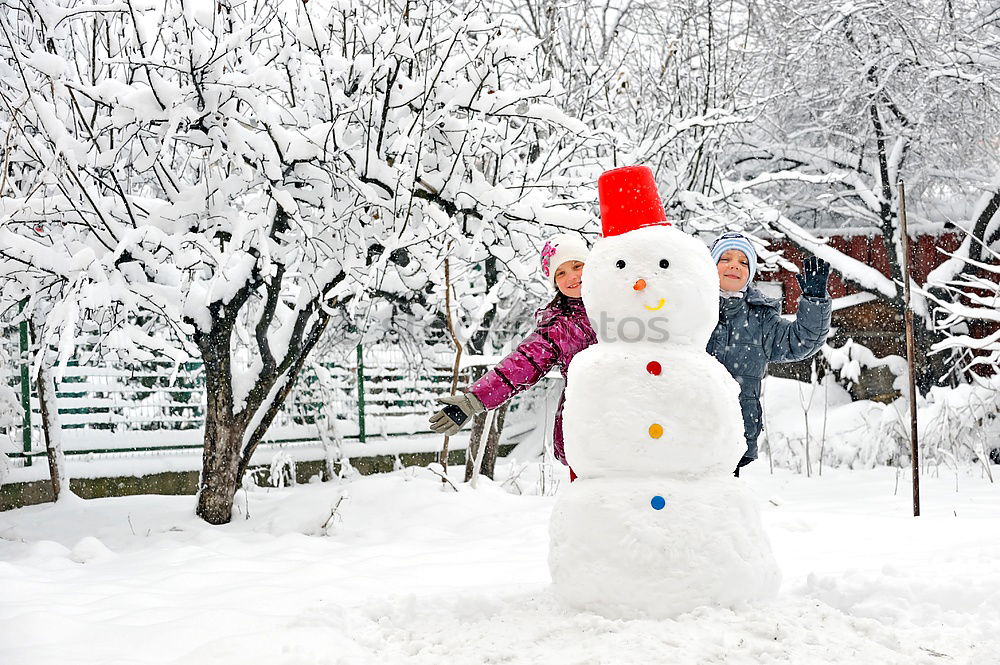 Similar – Image, Stock Photo Snowman in the yard Joy