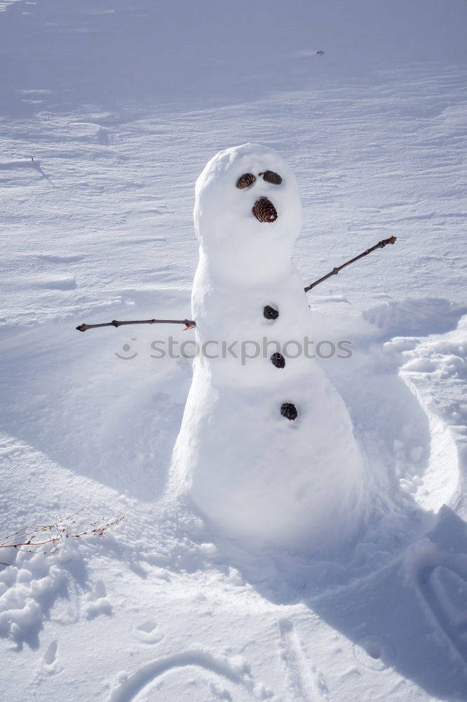 Similar – Image, Stock Photo Snowman in the yard Joy