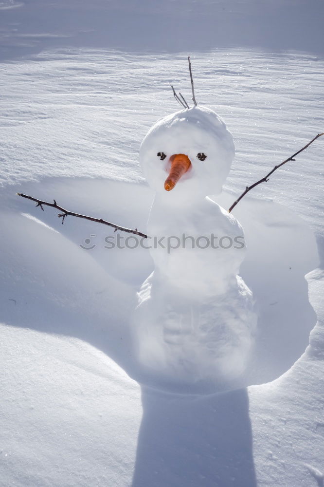 Similar – Image, Stock Photo Snowman in the yard Joy