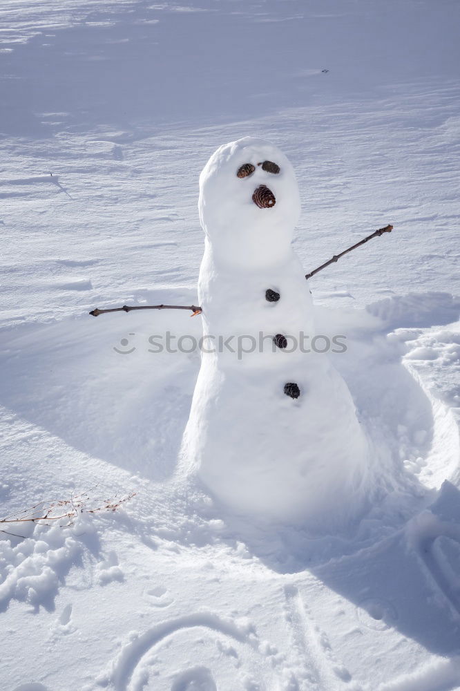 Similar – Image, Stock Photo Snowman in the yard Joy