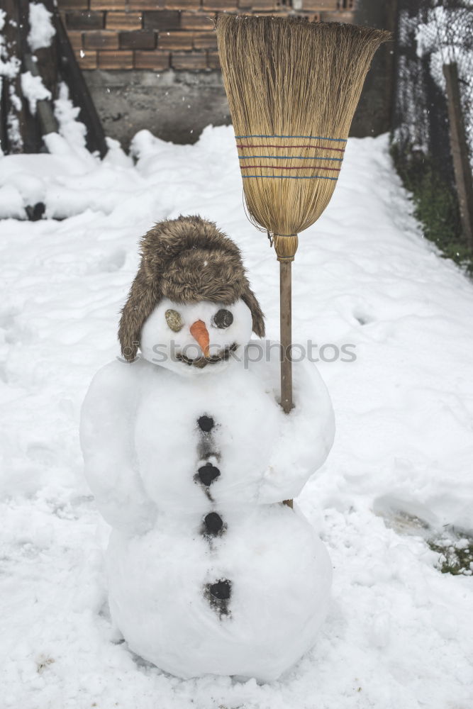 Similar – Image, Stock Photo Snowman in the yard Joy