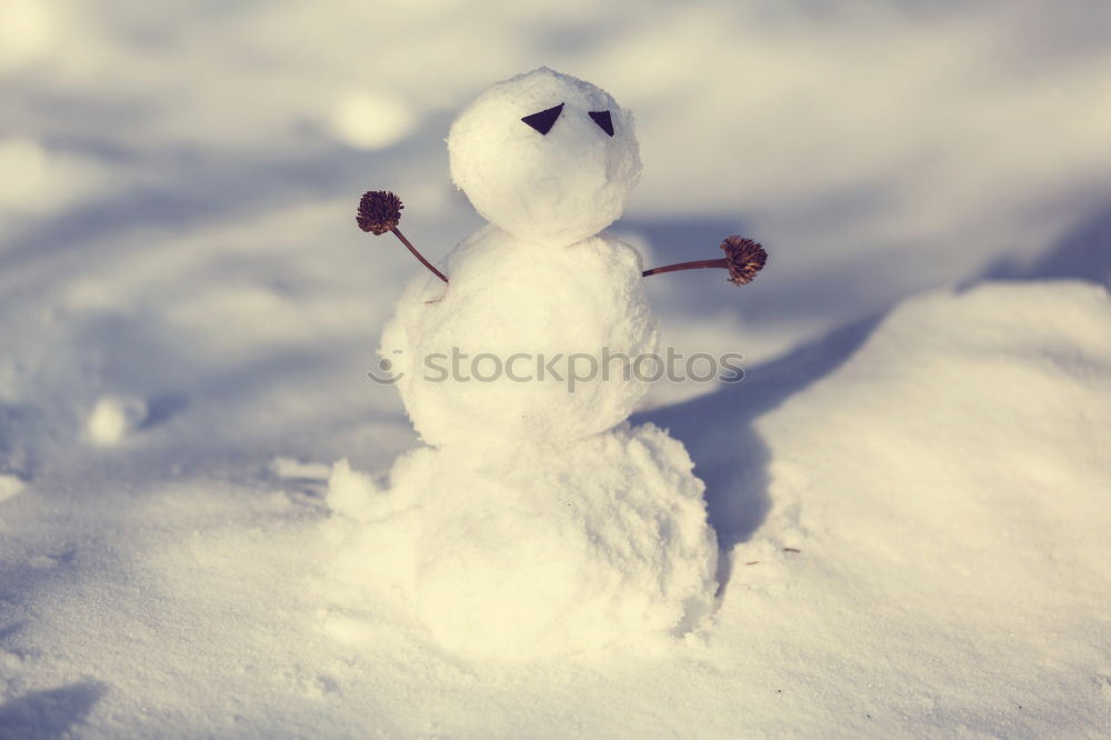 Similar – Image, Stock Photo snowman II Nature Winter