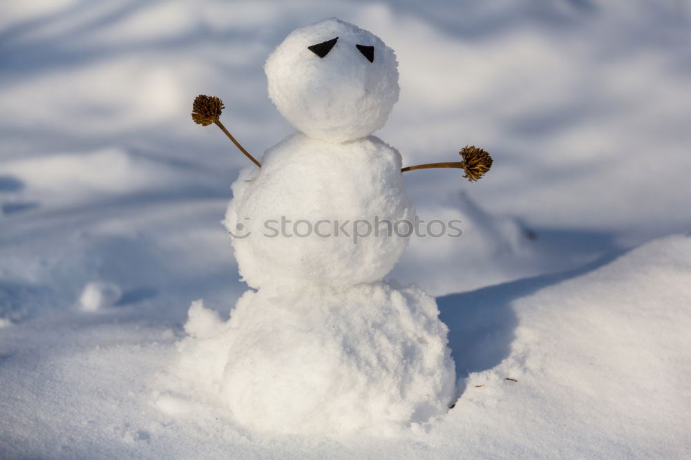 Similar – Image, Stock Photo snowman II Nature Winter