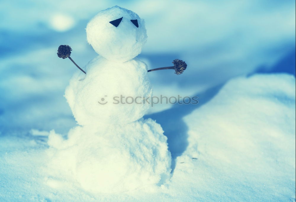 Image, Stock Photo snowman II Nature Winter