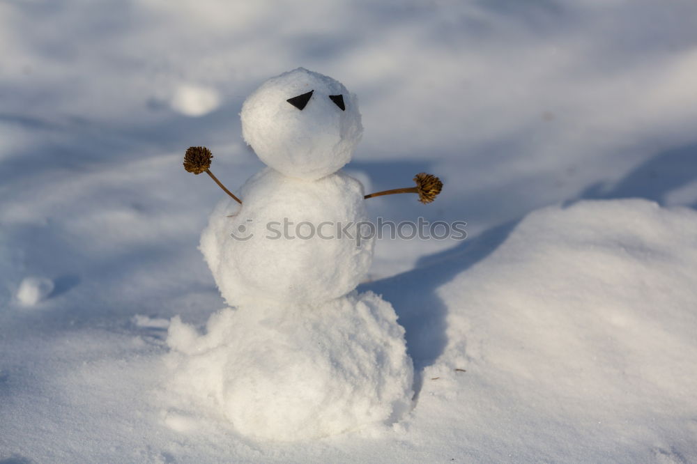 Similar – Image, Stock Photo Snowman in the yard Joy