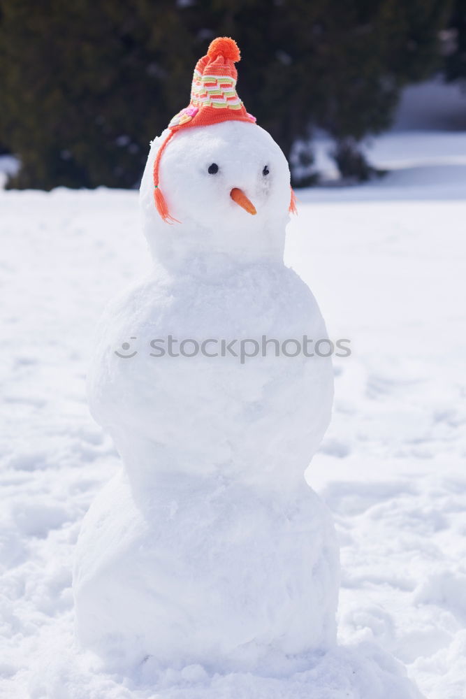 Similar – Image, Stock Photo Snowman in the yard Joy