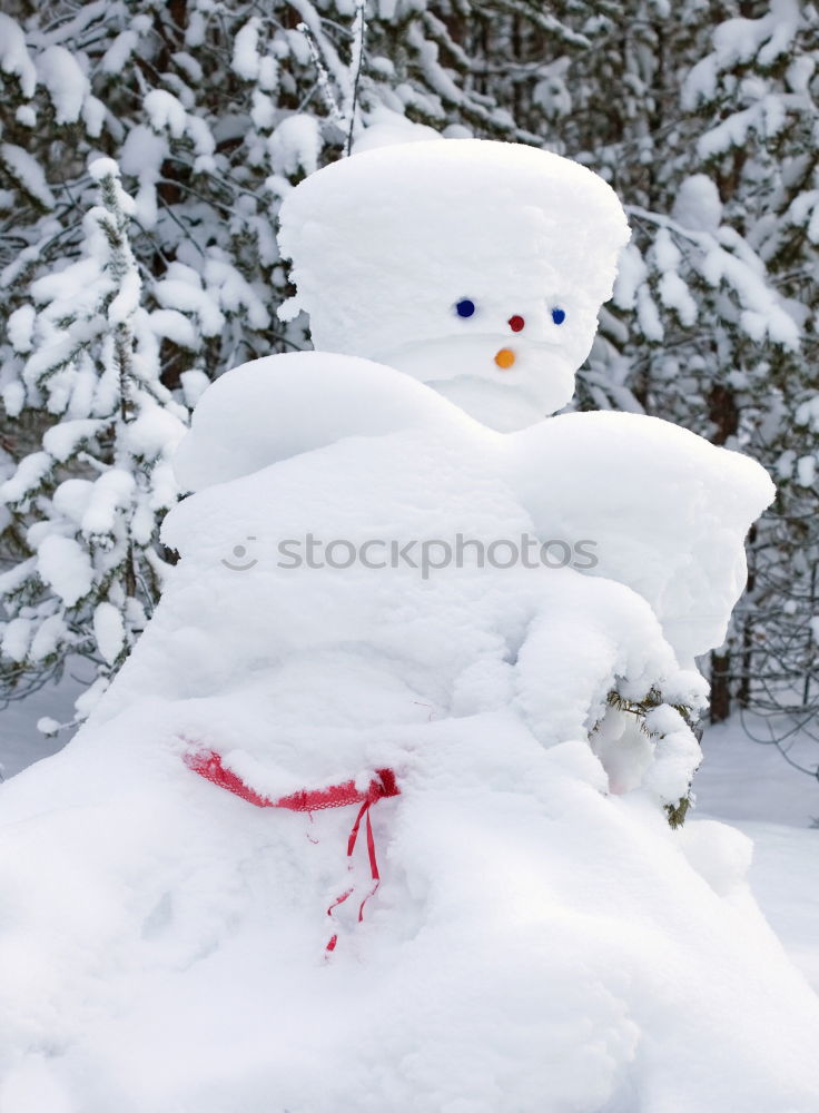 Similar – Image, Stock Photo Snowman in the yard Joy