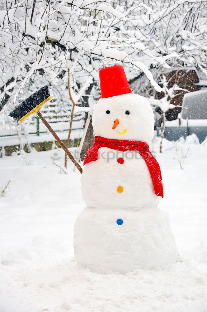 Similar – Image, Stock Photo snowman II Nature Winter