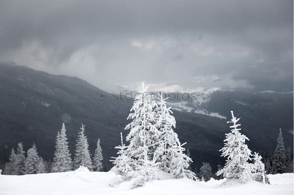 Similar – Image, Stock Photo Mountain road through piles of snow