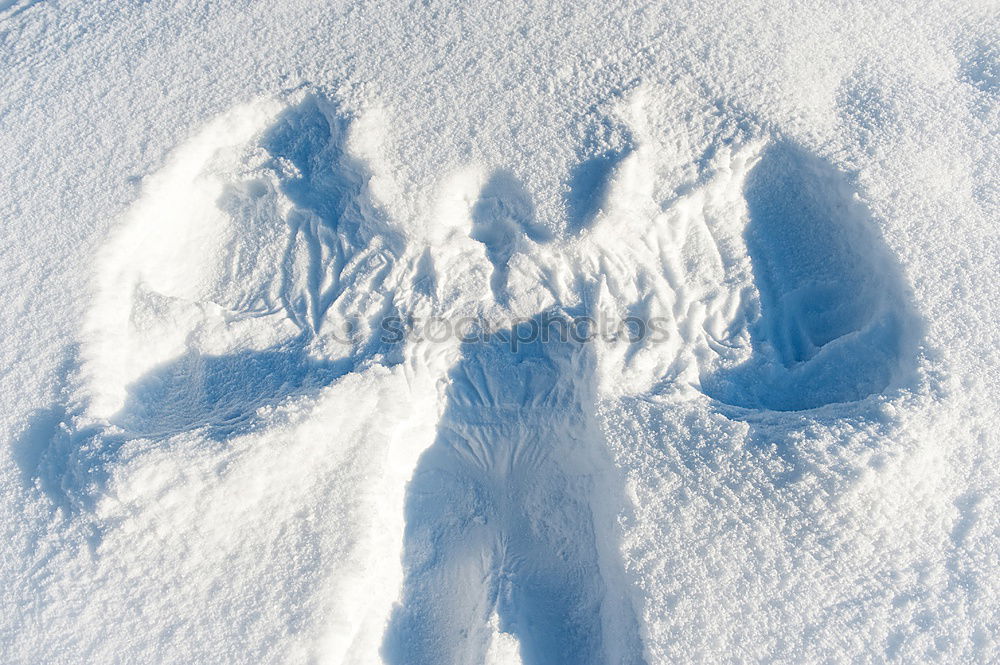 Similar – Image, Stock Photo Snow covered ice surface with circular curves and inscription ” GO “. Launch