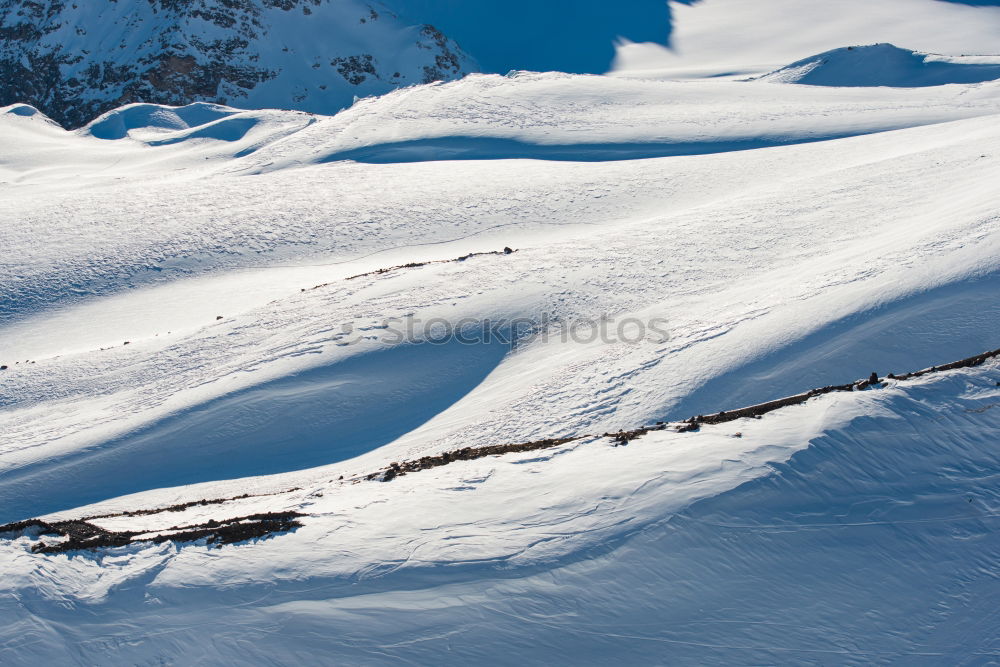 Similar – Image, Stock Photo Steve Podborski Snow