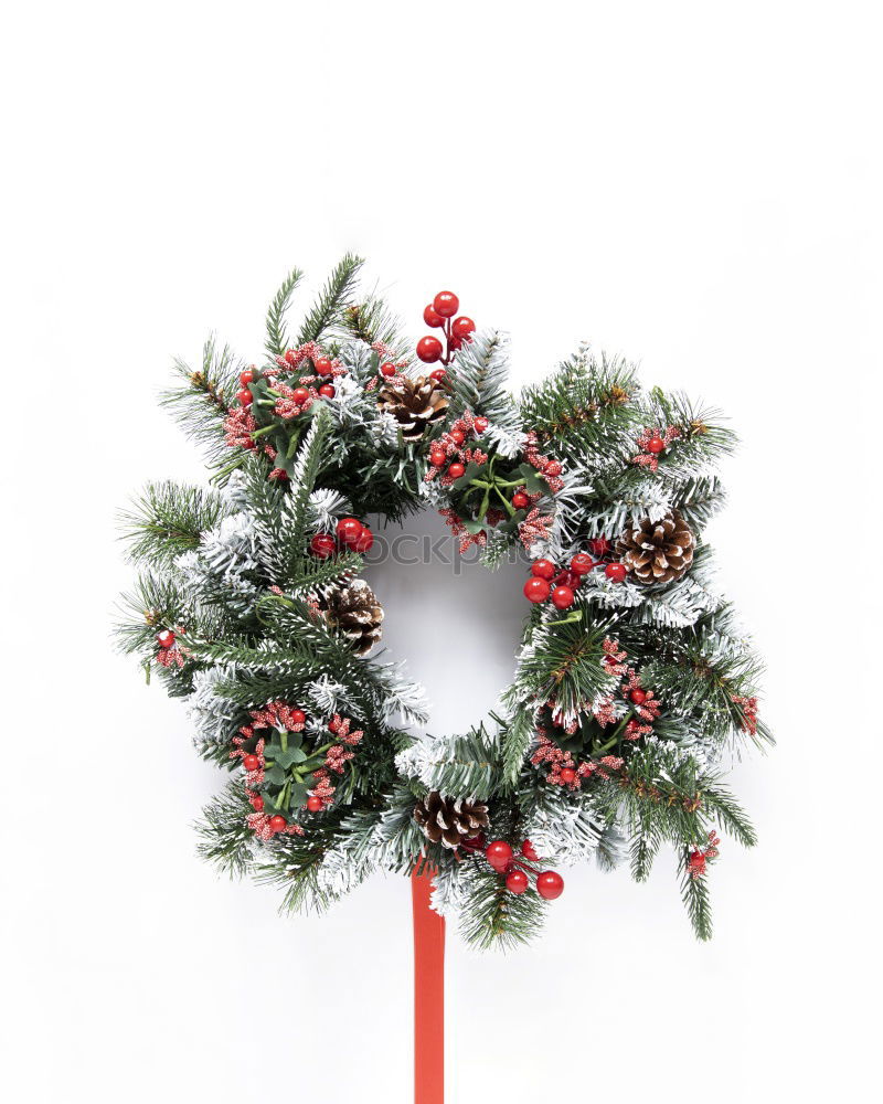 Image, Stock Photo Hand holding Christmas wreath