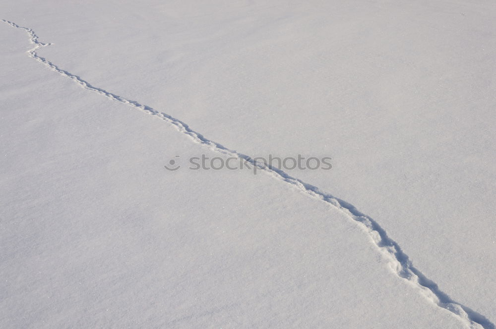 Foto Bild white line Salzsee weiß