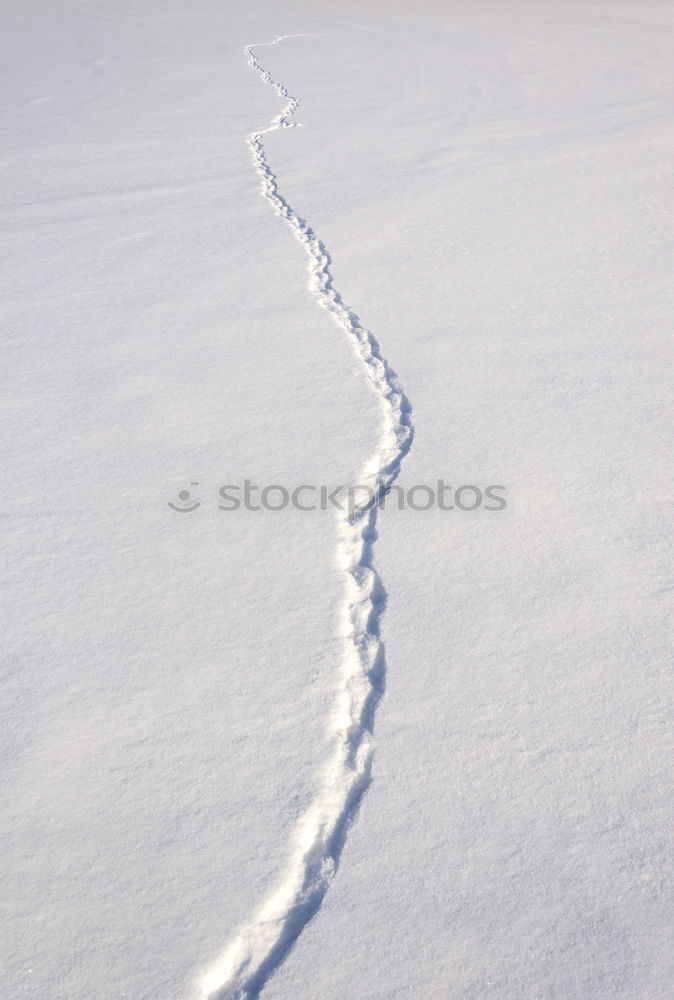 Similar – Tracks in the snow #4