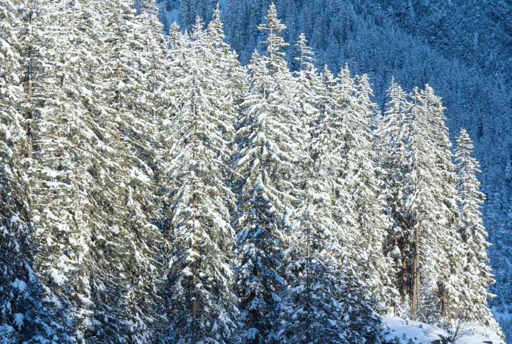 Similar – winter magic Fence Winter