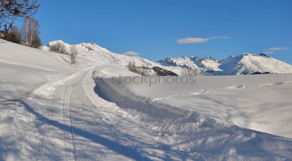 Similar – Image, Stock Photo cross-country skiing paradise…