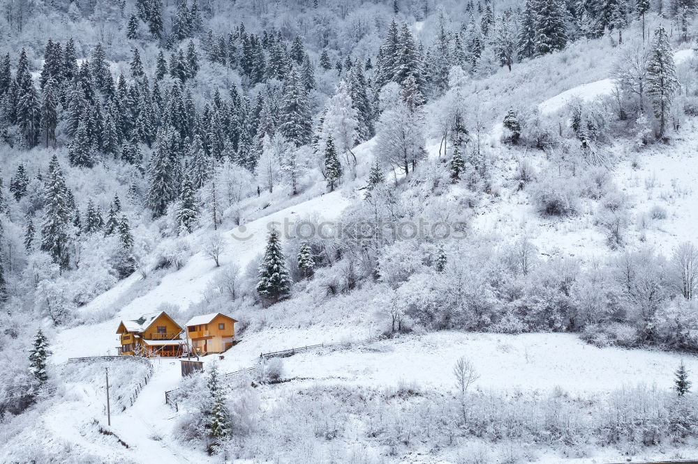 Similar – Image, Stock Photo First snow in autumn. Snowfall in mountains. Snow and fog