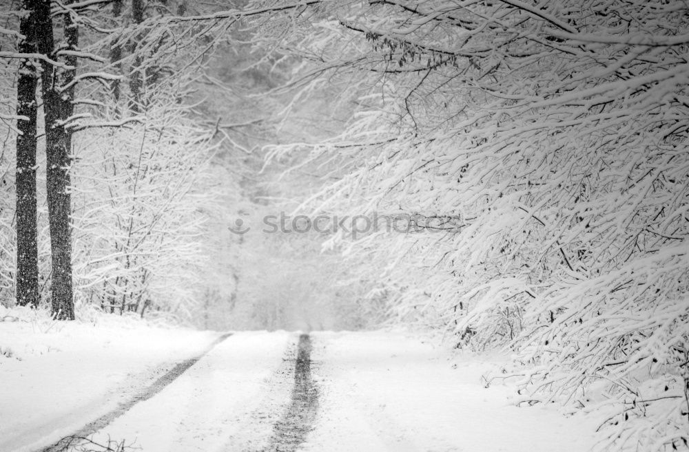 Similar – Foto Bild Stille II Winter Schnee