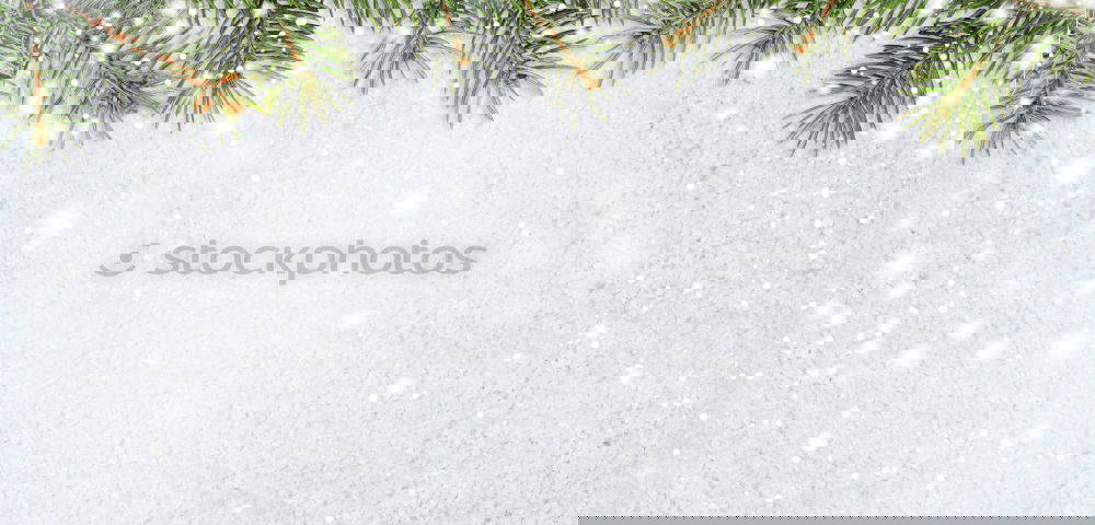 Similar – Image, Stock Photo Yesterday’s Christmas tree
