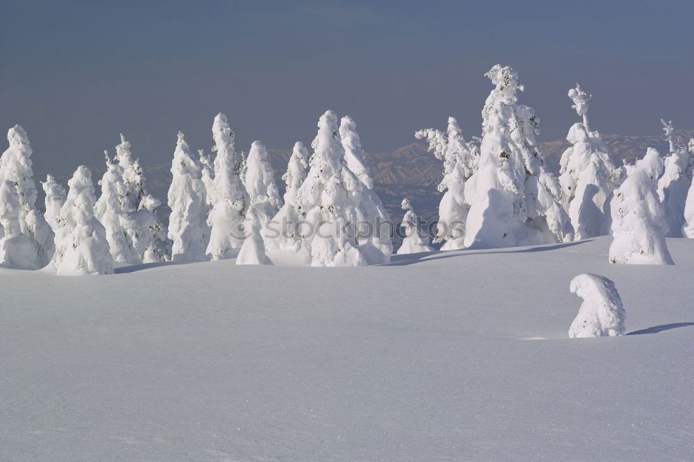 Similar – Foto Bild Schlumpfhausen Winterwald